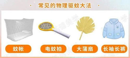 蚊子为何独宠你？牙膏的妙用与防蚊科学