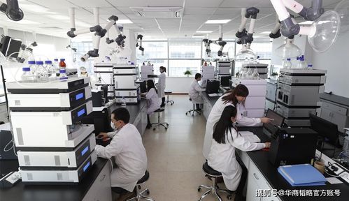 中国生物医药产业 破局与自强之路