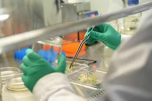 舜丰生物 以核心技术驱动，助力北方打造种业之都