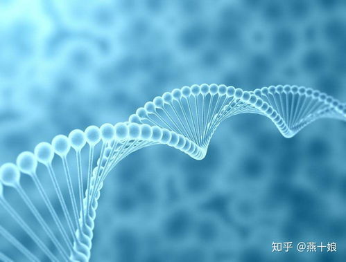 燕窝肽 生物科技赋能下的顶级护肤成分解密