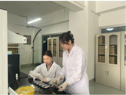 小巨人蕴含大能量 恒升医学以科技创新赋能生物医疗产业高质量发展