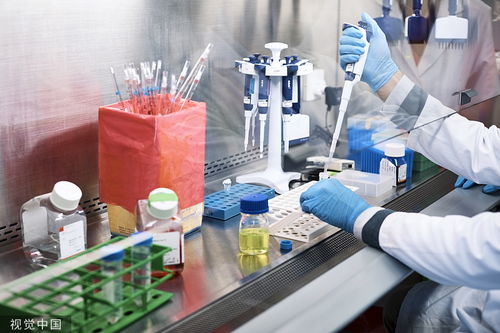 中国生物技术在癌症早筛领域的技术研发与转让前景