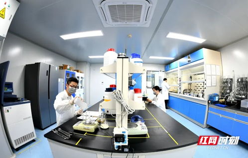 观潮的螃蟹丨这个“国字号”会议为何选常德？探索生物科技领域的技术研发与转让新机遇